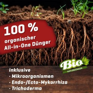 Plant Booom Starter–Kit