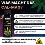 Bild in Galerie laden, Das CalMag - Calcium- und Magnesium