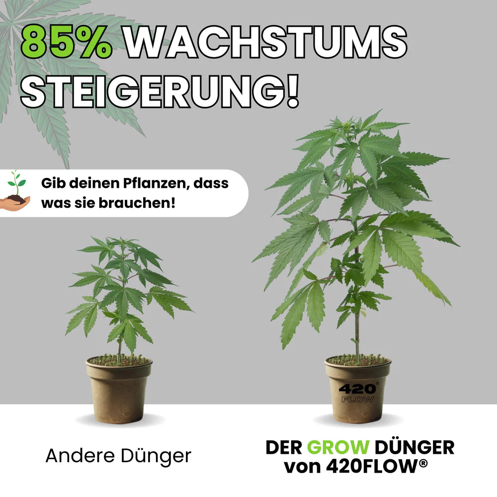 Grow Dünger