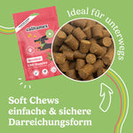 Bild in Galerie laden, CBD Happies Hund Mobilität