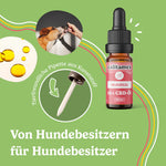 Bild in Galerie laden, CBD Öl Hund Mobilität