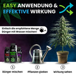 Bild in Galerie laden, Das Starter Set Grow, Bloom & Booster 3 x 500ml