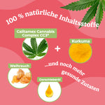 Bild in Galerie laden, CBD Öl Hund Mobilität