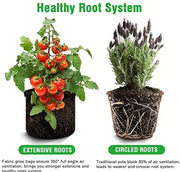 Plant Bag – Grow Bag