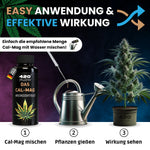 Bild in Galerie laden, Das CalMag - Calcium- und Magnesium