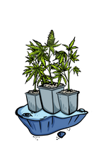Bild in Galerie laden, Starter Grow–Set, inkl. 3x Automatic–Flower Seeds, Diverse Sorten