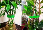 Bild in Galerie laden, Gartenband, Doppelseitige Pflanzenbinder