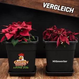 Plant Booom Starter–Kit