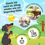 Bild in Galerie laden, CBD Happies Hund Wohlbefinden