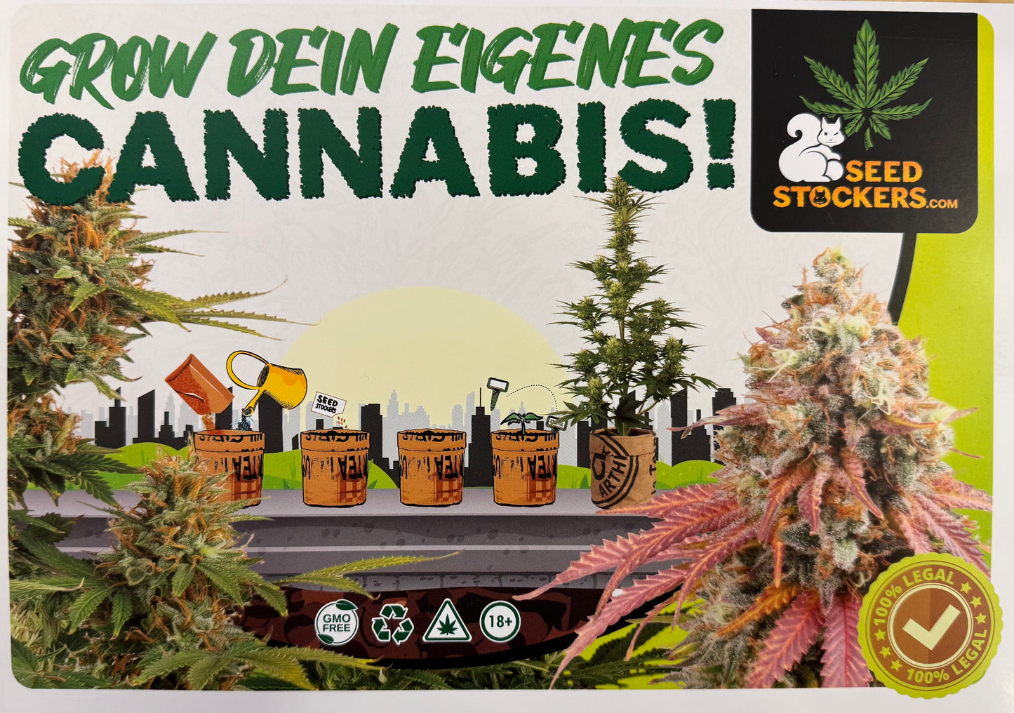 Grow Set, Grow Bag
