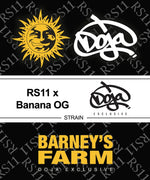 Bild in Galerie laden, RS11 x Banana OG Strain, RS11 Strain x Banana OG