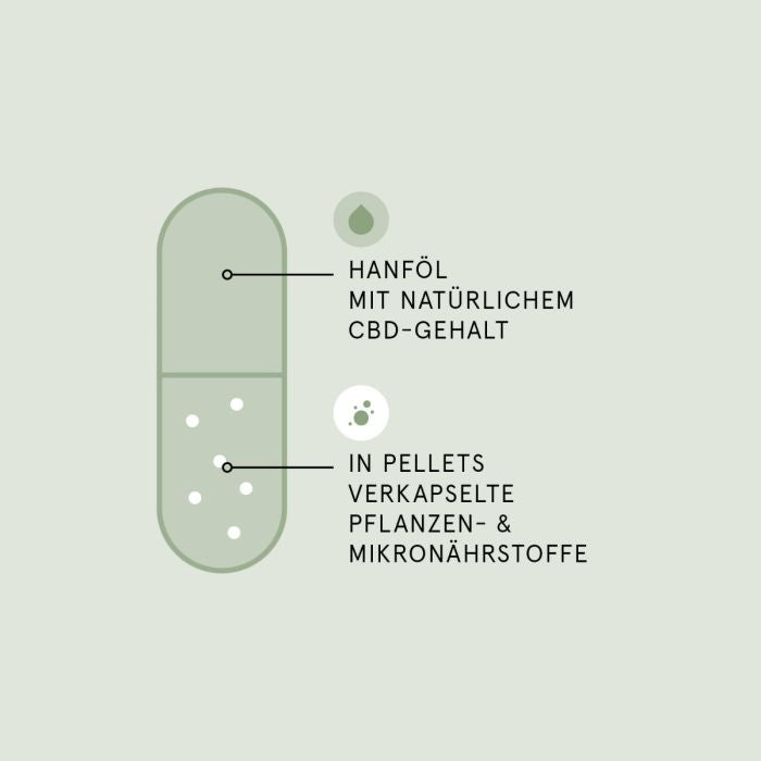 CBD Wechseljahre