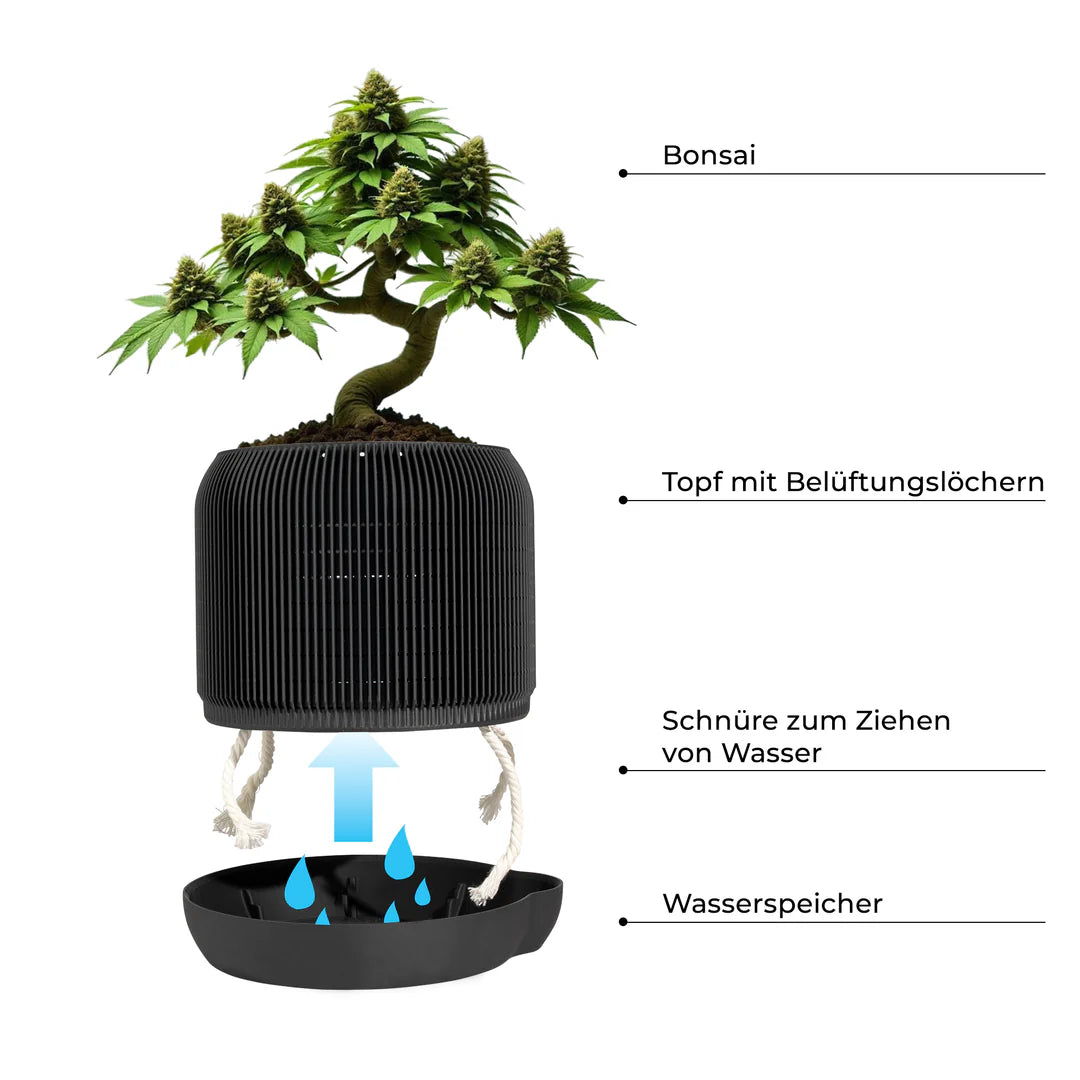 CannaBonsai Grow Kit