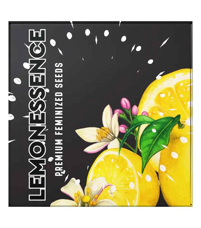 Doja – LEMONGRAS GAS – Feminisiert – 6 Samen, Gelonade × Duke’s Crumpets × (Skywalker OG × Cold Creek Kush × GG4 × 18 Coffins)
