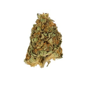 Northern Light aka Northern Lights, NL