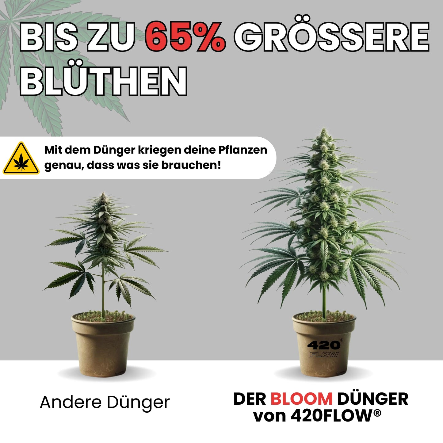 Der Bloom Dünger