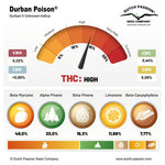 Bild in Galerie laden, Durban Poison (10 Stk. | Regular) - Dutch Passion – Durban X Unknown Indica