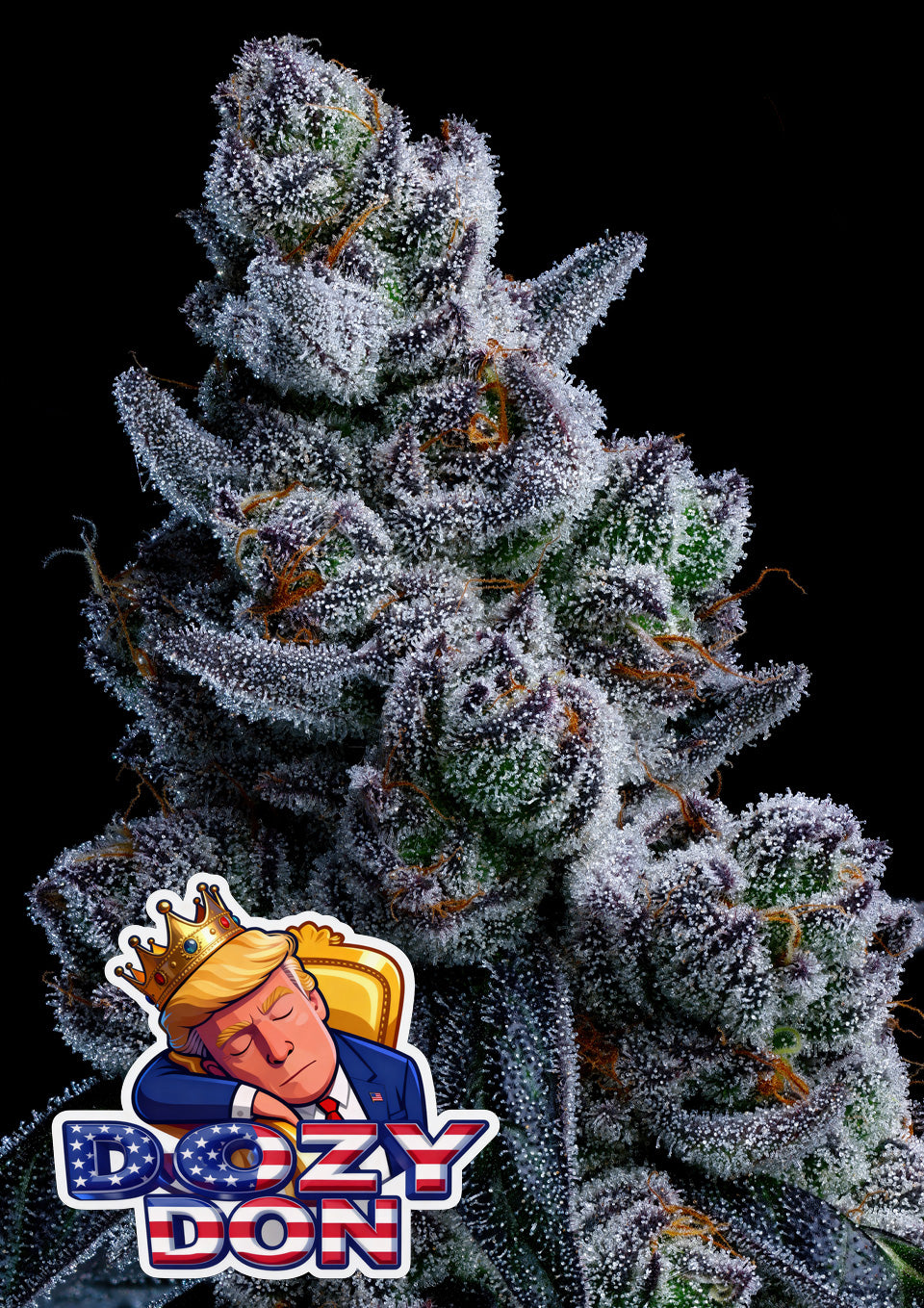 Dozy Don, Godfather OG x Imperium X x Roswell Code