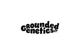 Grounded Genetics - Pink Honey (7 Stk. | Feminisiert), (Papaya × GMO) × Ozark (Oz Kush × Jealousy)