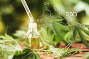 Dein Short Guide zu CBD Öl