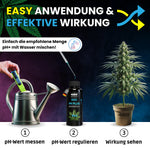 Bild in Galerie laden, PH Plus