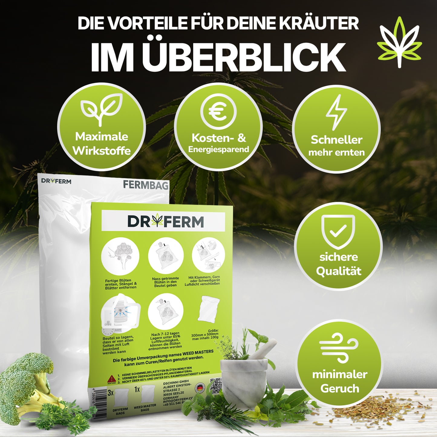 DryFerm