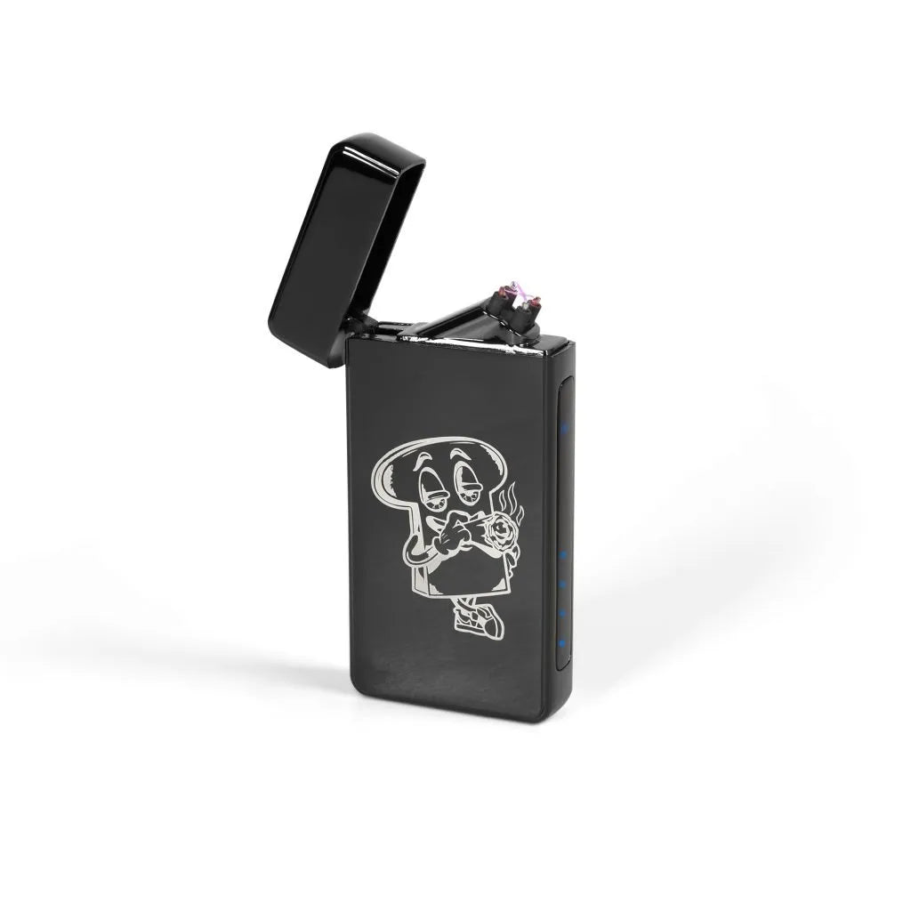 TOASTED ELECTRONIC LIGHTER
