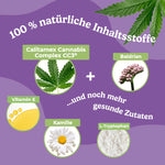 Bild in Galerie laden, CBD Happies Hund Beruhigung