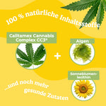 Bild in Galerie laden, CBD Happies Hund Wohlbefinden