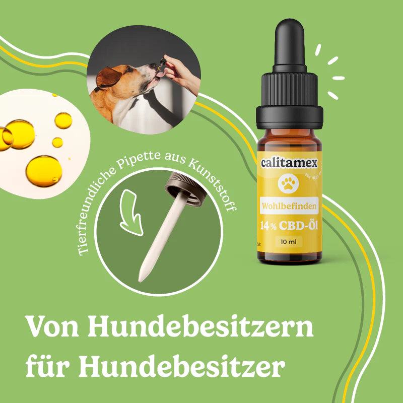 CBD Öl Hund Wohlbefinden