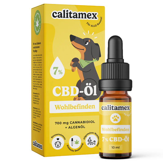 CBD Öl Hund Wohlbefinden