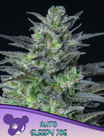 Bild in Galerie laden, Sleepy Joe® Auto, Obama Kush/ Auto Nova OG