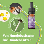 Bild in Galerie laden, Calitamex CBD Öl Hund Beruhigung