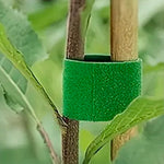 Bild in Galerie laden, Gartenband, Doppelseitige Pflanzenbinder