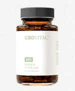 Bild in Galerie laden, Traditionell chinesische Vitalpilze Reishi &amp; Cordyceps