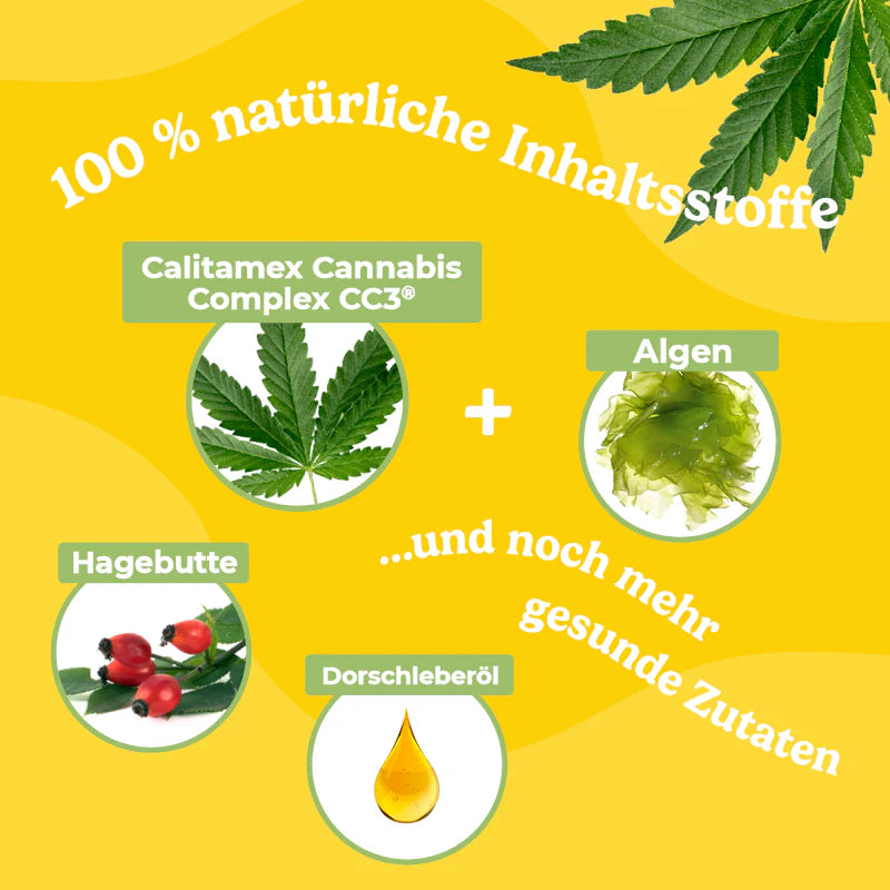 CBD Öl Hund Wohlbefinden