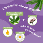 Bild in Galerie laden, Calitamex CBD Öl Hund Beruhigung