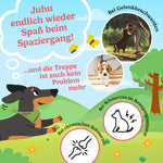 Bild in Galerie laden, CBD Öl Hund Mobilität