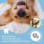Bild in Galerie laden, CBD Zahn Gel