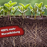 Bild in Galerie laden, Myco–Rhiza Booom