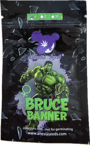 Bruce Banner #3, OG Ghost/ Strawberry Cough/ Sour Diesel