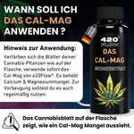 Bild in Galerie laden, Das CalMag - Calcium- und Magnesium