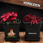 Bild in Galerie laden, Plant Booom Starter–Kit