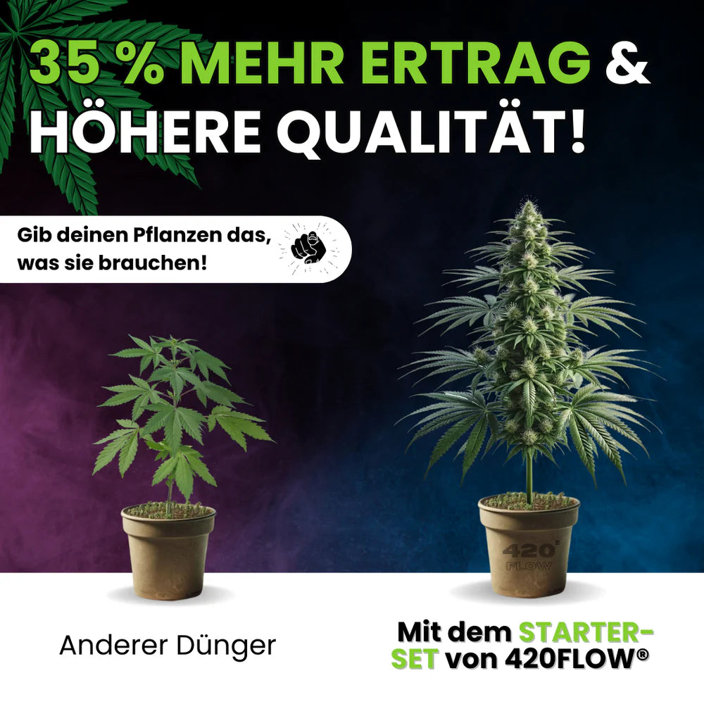 Das Starter Set Grow, Bloom & Booster 3 x 500ml