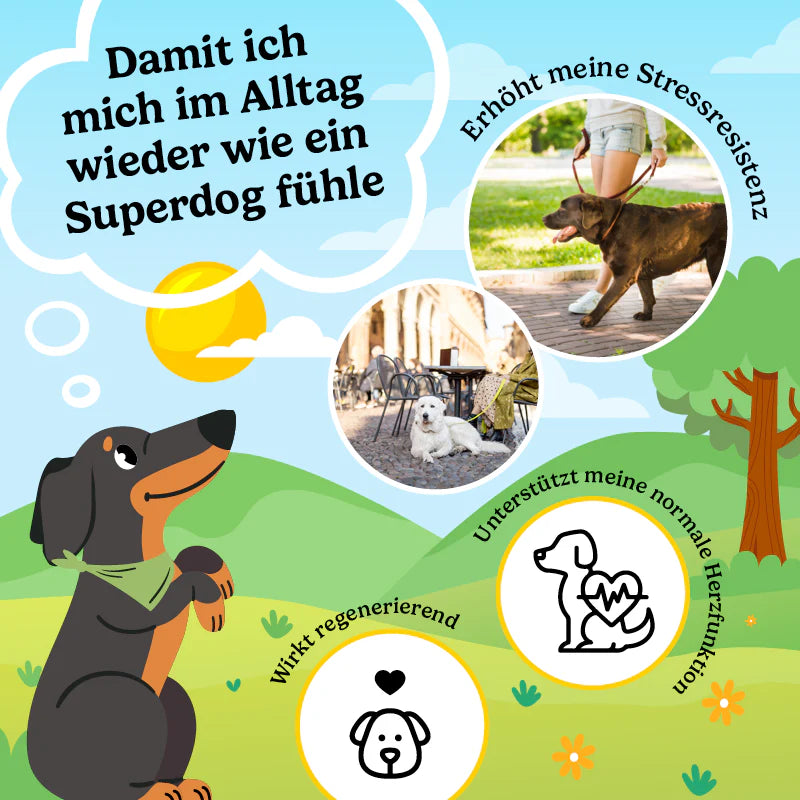 CBD Happies Hund Wohlbefinden