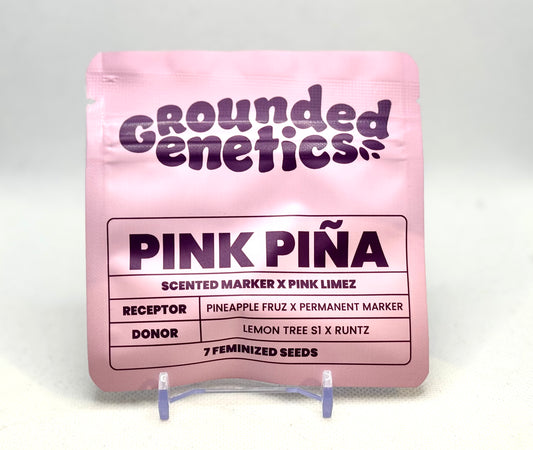 Grounded Genetics - Pink Piña (7 Stk. | Feminisiert), (Pineapple Fruz × Permanent Marker) × (Lemon Tree S1 × Runtz)