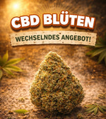 Bild in Galerie laden, CBD Aromablüten „B Ware“ – Sonderposten &amp; B-Ware zum Vorteilspreis –Angebot