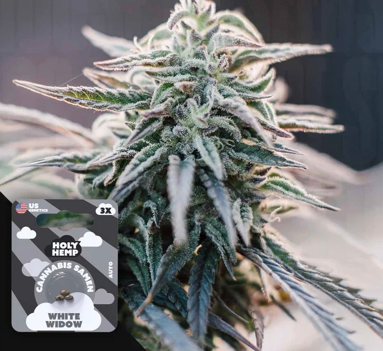 White Widow Auto