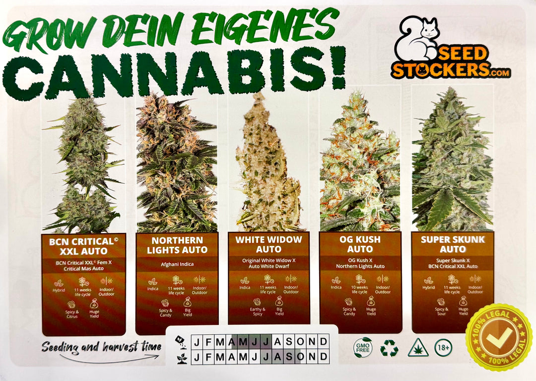 Grow Set, Grow Bag - Diverse Sorten