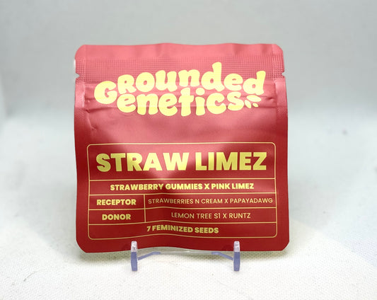 Grounded Genetics - Straw Limez (7 Stk. | Feminisiert), (Strawberry Gummies x Lemon Tree s1 x Runtz)